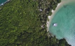 热带海滩碧蓝海水椰林沙滩