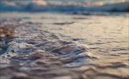 浅滩散落彩色贝壳