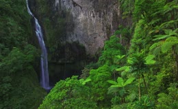 山林间小型瀑布美景