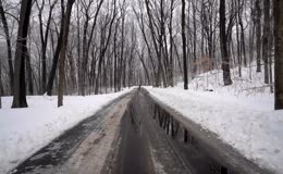 白雪覆盖落叶树林小路