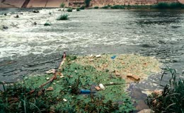 河道环境污染垃圾实拍