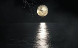 月夜下的湖面景色