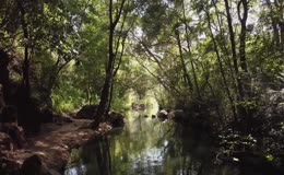 树林溪流溪涧小径