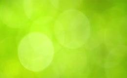 绿色夏季虚焦