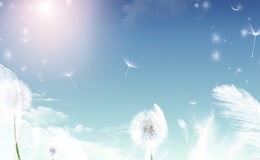 青春不散场毕业季校园生活片头