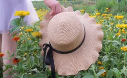 白裙美女穿行黄花丛