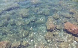 清澈见底海水