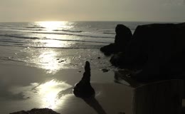 黄昏海边礁石剪影