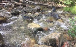 河水流水卵石溪流