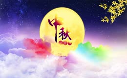 中秋佳节唯美花瓣飘落视频
