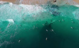 航拍视角海岸冲浪爱好者