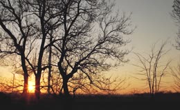 风车风力发电夕阳秋天秋季