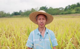 农民伯伯笑