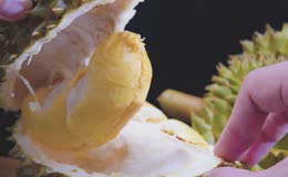 手剥成熟优质榴莲