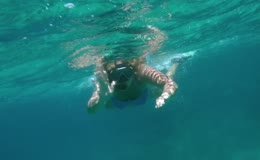 透蓝海水下浮潜画面