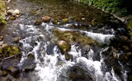 山光水色