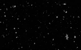 纯黑背景六角雪花缓缓飘落