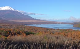 秋季富士山日本