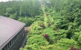 山林树木行道树森林山林小屋