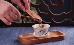 红茶投茶冲泡出汤