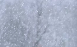 大雪纷飞