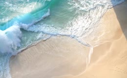 大海沙滩阳光
